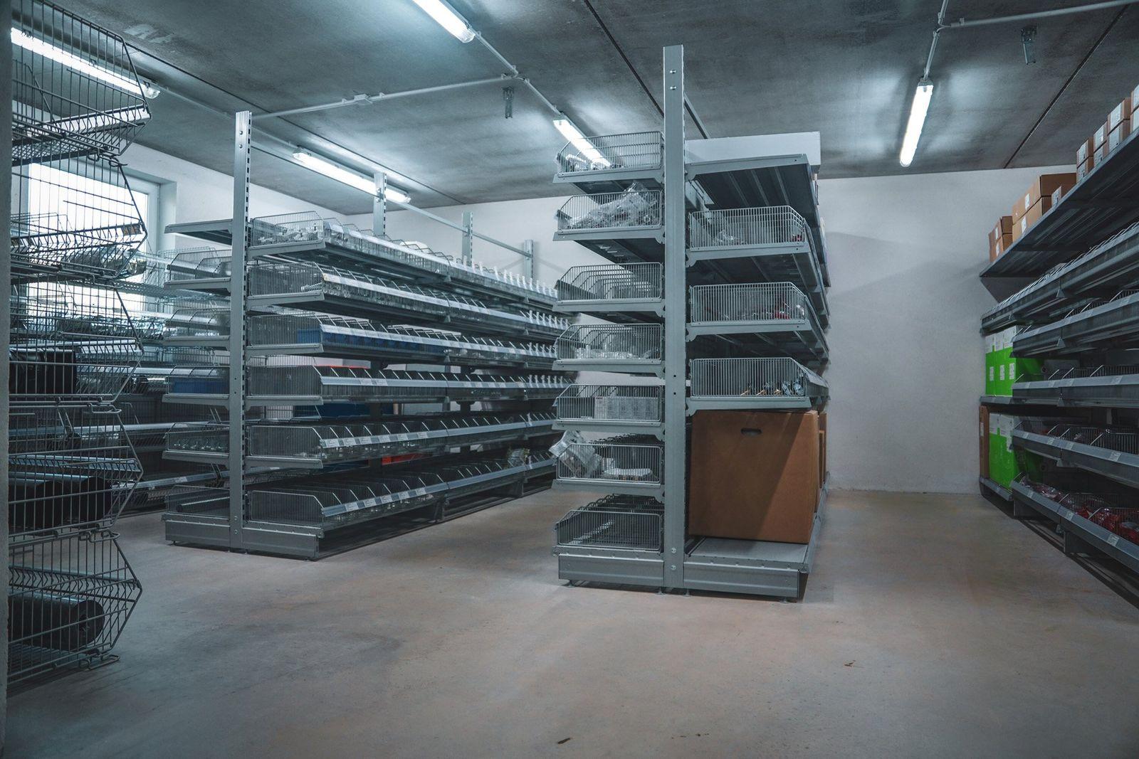 Bild 3 der Ausstellung Ringsheim