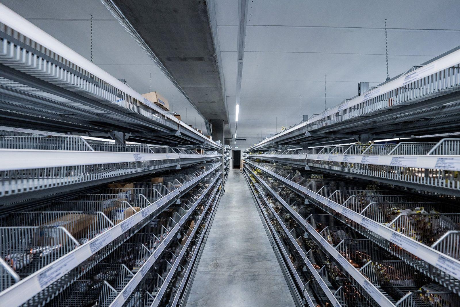 Bild 2 der Ausstellung Saarbrücken