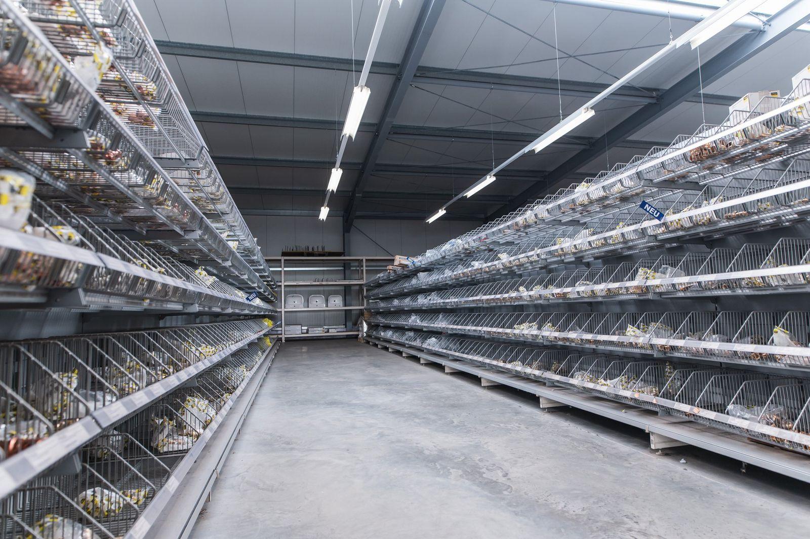 Bild 1 der Ausstellung Müllheim