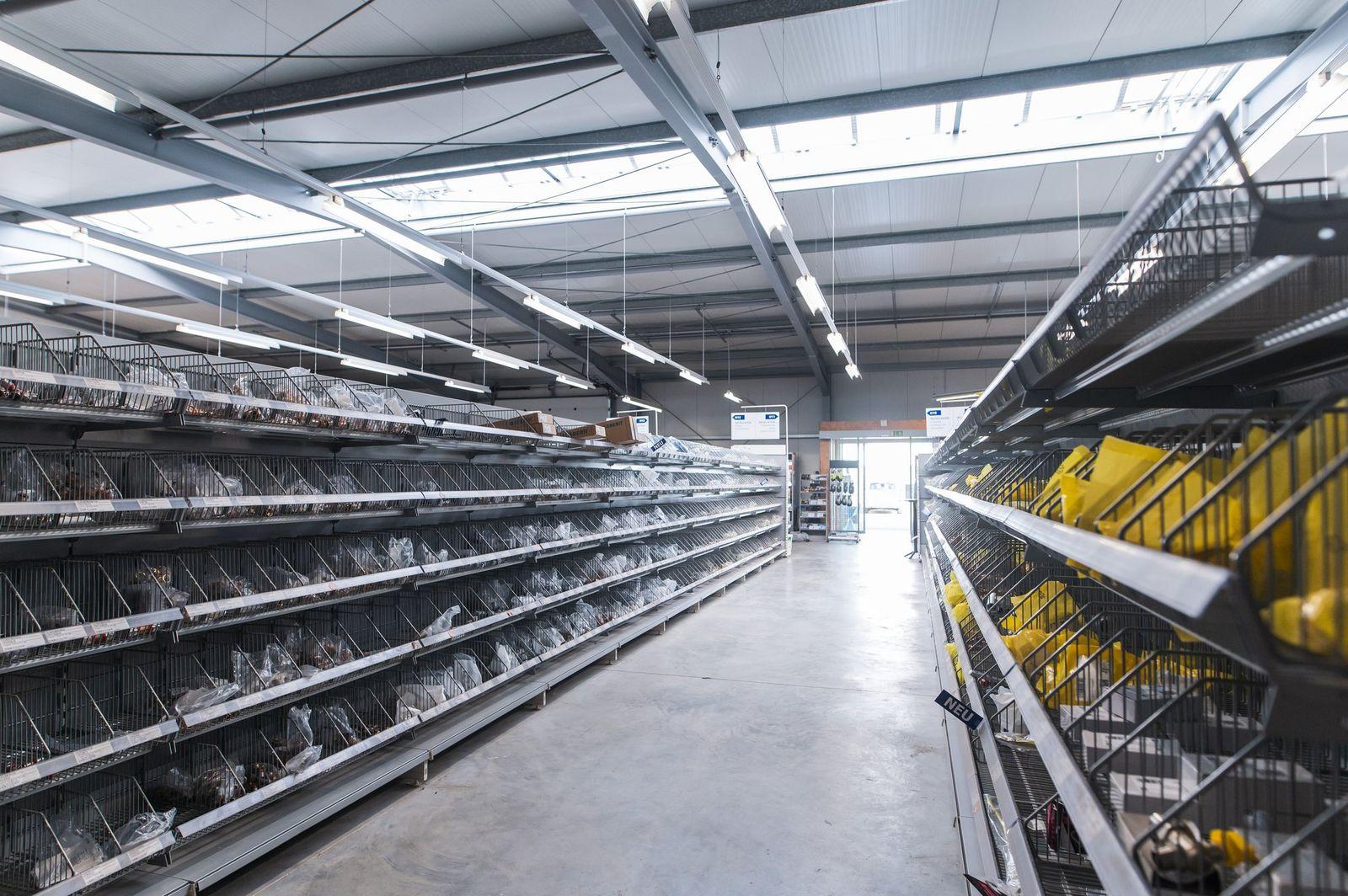 Bild 8 der Ausstellung Müllheim