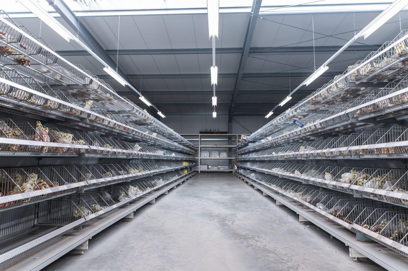 Bild 5 der Ausstellung Müllheim