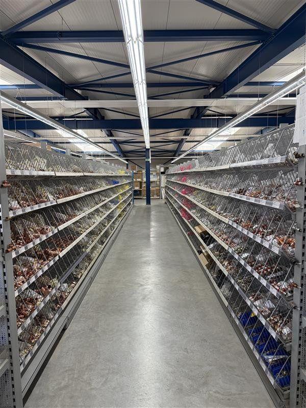 Bild 4 der Ausstellung Mannheim