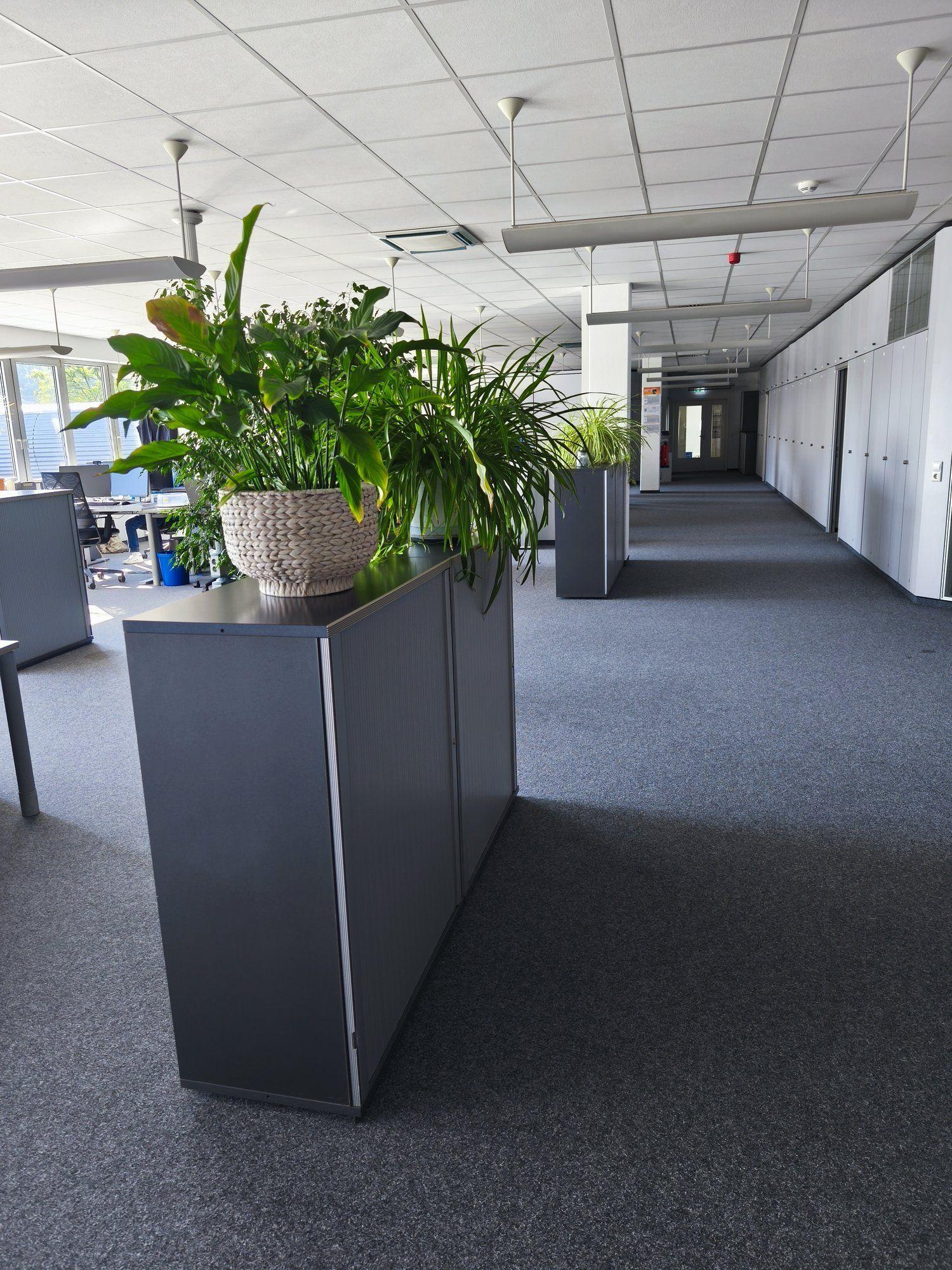 Bild 4 der Ausstellung Plochingen