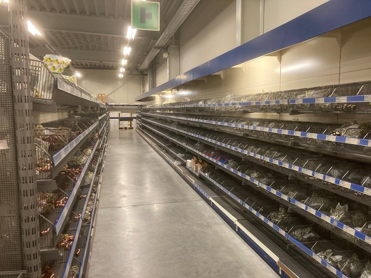 Bild 2 der Ausstellung Grünstadt